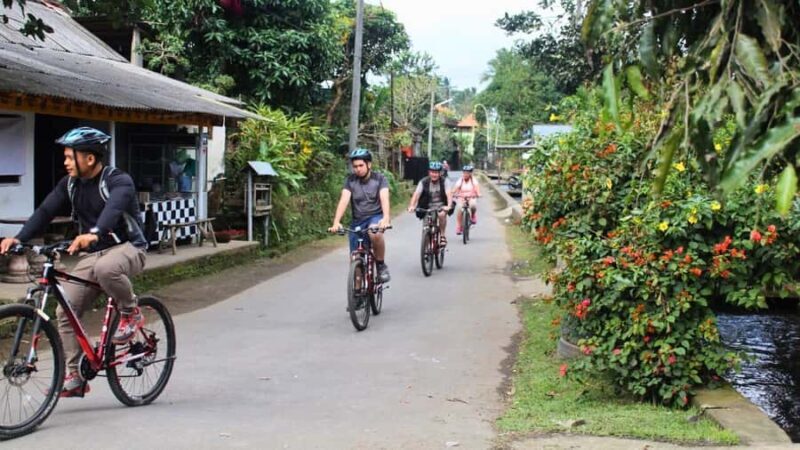 Ubud: Old Spiritual Village & Countryside Life Cycling Tour - The Sum Up