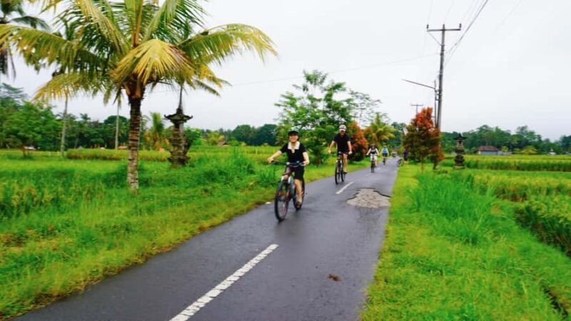 Ubud: Old Spiritual Village & Countryside Life Cycling Tour - FAQ