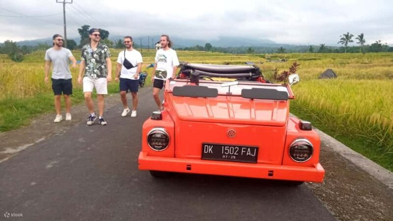 Ubud on the Road: VW Safari Tour Across Local Life of Ubud - The Sum Up