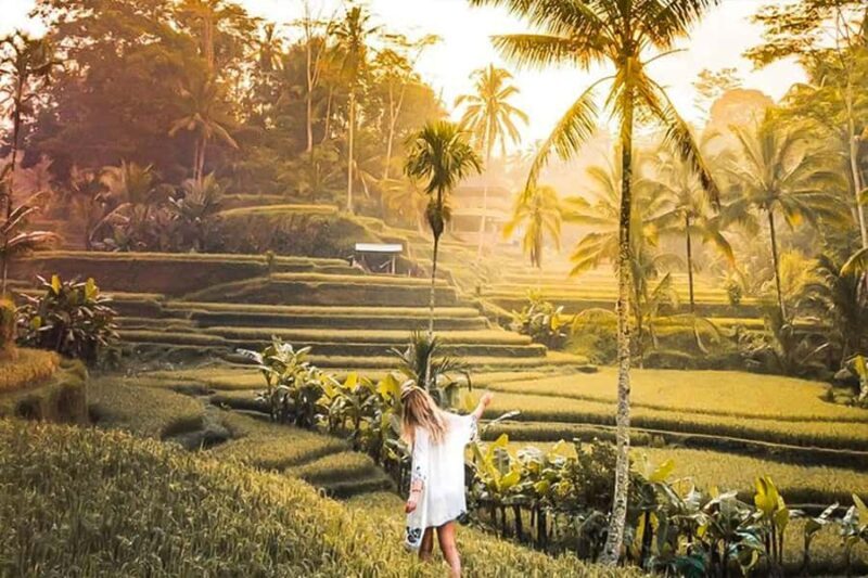Ubud Premium Escape  Discover Bali's Hidden Paradise - Exploring Ubud’s Rich Culture and Stunning Nature