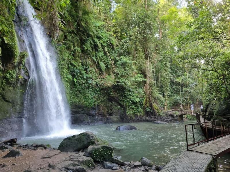 Ubud Premium Escape  Discover Bali's Hidden Paradise - Who Will Love This Tour?