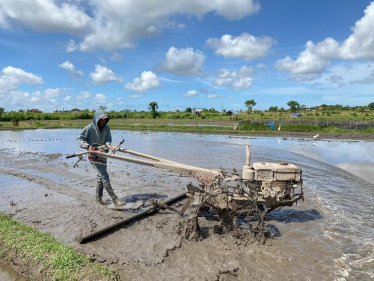 Ubud : Private Bike Tour Rice Fields With Meal and Pool - Itinerary