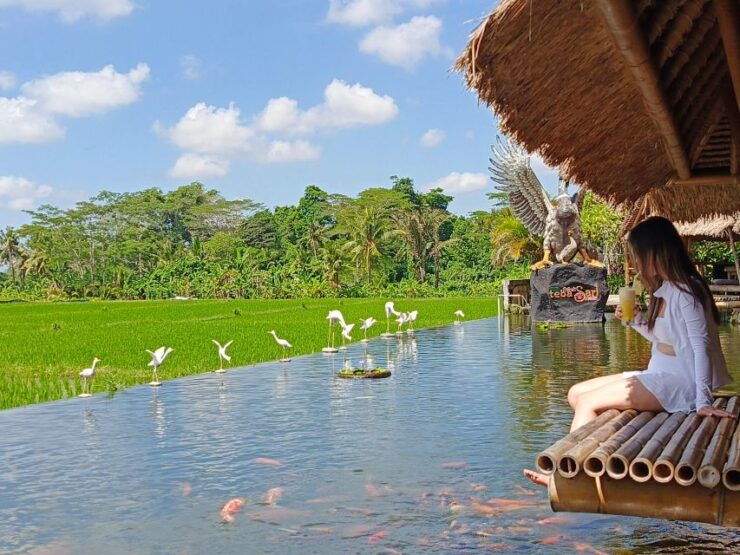 Ubud: Private Charter Car 10hours. - Activity Details