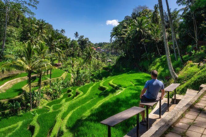 Ubud Private Custom Day Tour - Good To Know