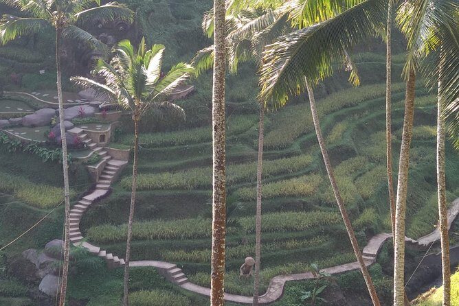 Ubud Private & Customize Day Tour - Deep Dive into the Experience