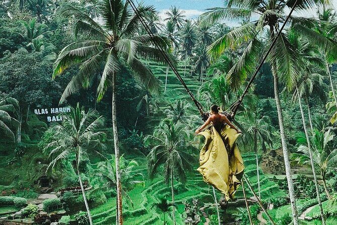 Ubud Private Customized Full Day Tour - Transport and Logistics: Comfortable and Efficient