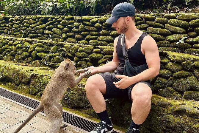 Ubud Private Customized Full Day Tour - Who Should Book This?