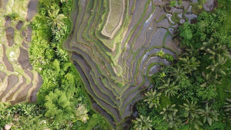 Ubud Private Customized Full-day Tours with Photographer - Good To Know