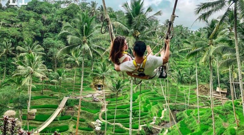 Ubud: Private Day Tour with Waterfall and Rice Terrace - Final Thoughts: Who Will Love This Tour?