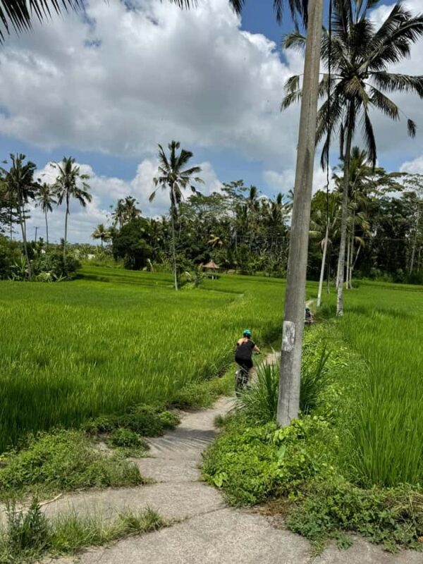 Ubud: PRIVATE Downhill Bike Tour with Rice Terraces & Meal - Good To Know