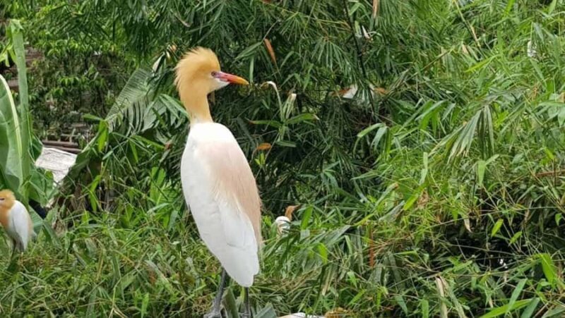 Ubud: Private Full Day Tour with Flexible Itenarary - The Sum Up