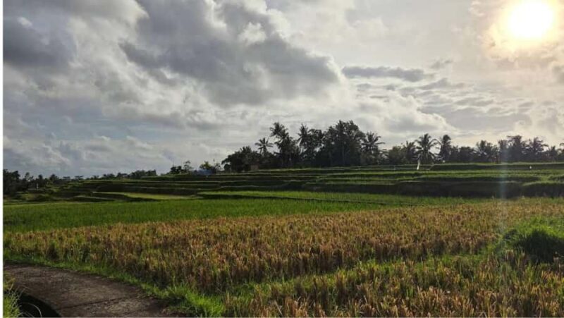 Ubud: Private Full Day Tour with Flexible Itenarary - FAQ