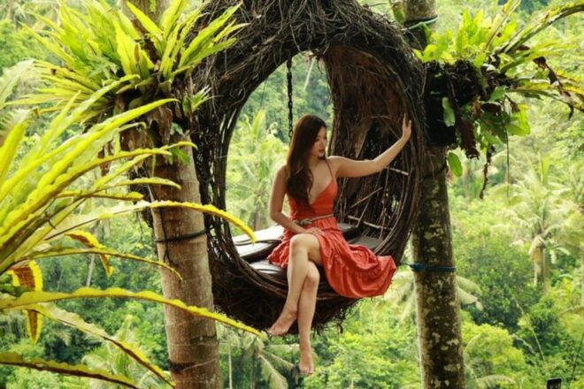 Ubud: Private Guided Customizable Full-Day Trip - Product Details