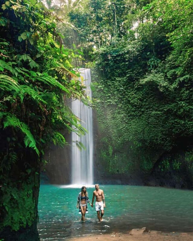Ubud: Private Scenic Waterfalls and Rice Terraces Tour - What Makes This Tour Stand Out?