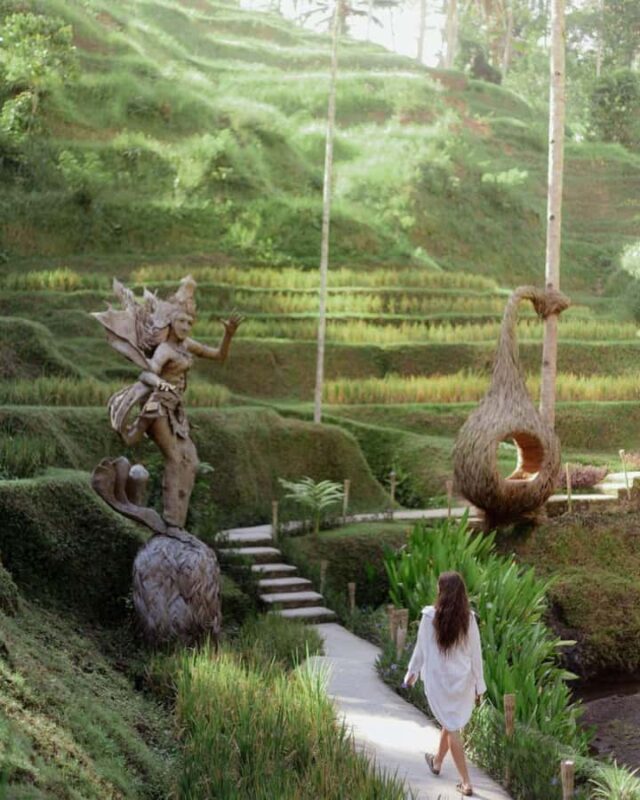 Ubud: Private Scenic Waterfalls and Rice Terraces Tour - FAQs