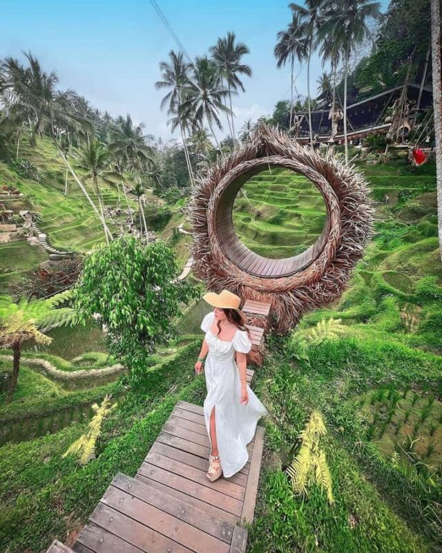 Ubud: Private Scenic Waterfalls and Rice Terraces Tour - Final Thoughts