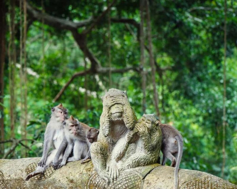 Ubud: Private Sighseeing Ubud Area, Culture with Transfer - FAQs