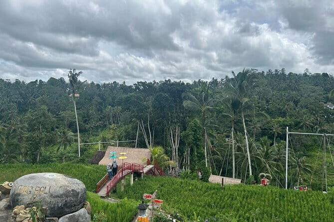 Ubud Private Tour From Cruise Port Benoa Bali All Inclusive - The Sum Up