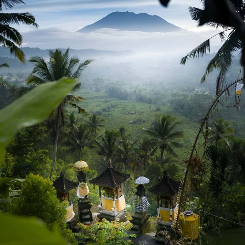 Ubud: Private Tour of Temples, Waterfalls & Rice Terraces - Good To Know