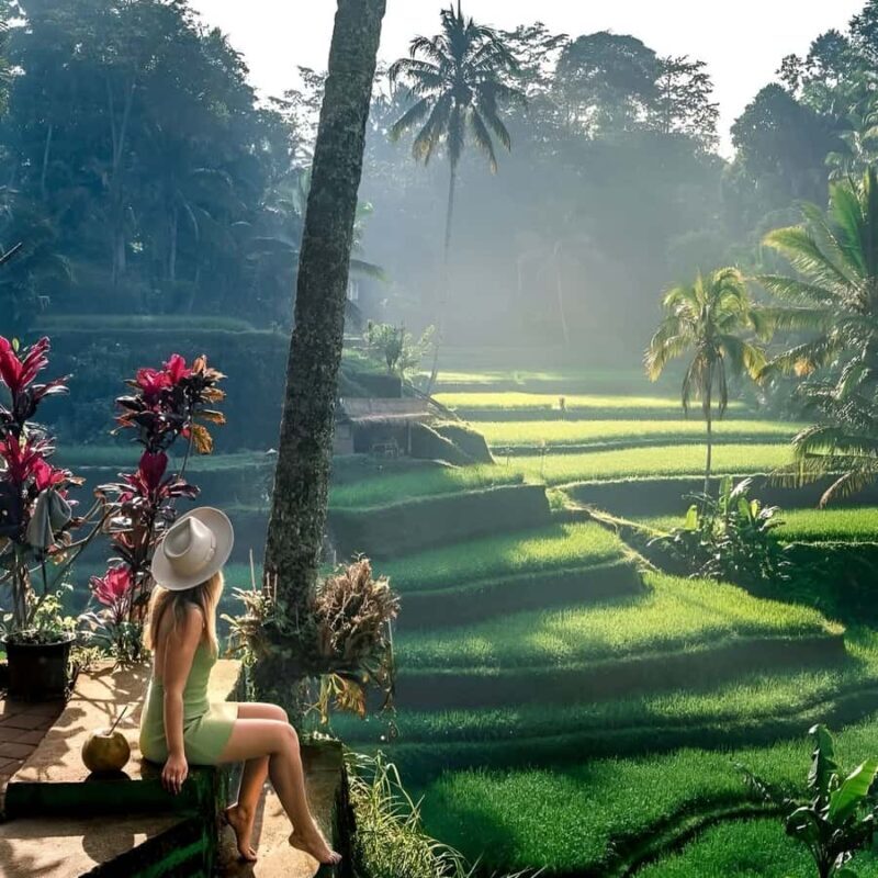 Ubud: Private Tour of Temples, Waterfalls & Rice Terraces - A Detailed Look at the Ubud Private Tour