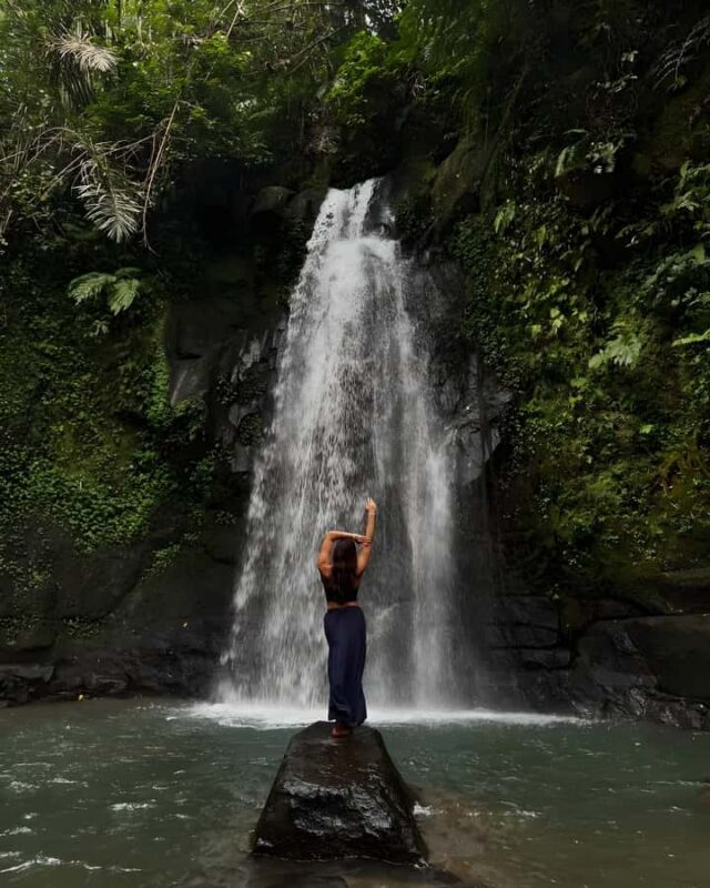 Ubud: Private Tour of Temples, Waterfalls & Rice Terraces - Who Will Love This Tour?