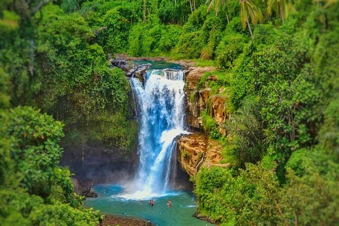 Ubud Private Tour Sightseeing and Waterfall - Tour Highlights
