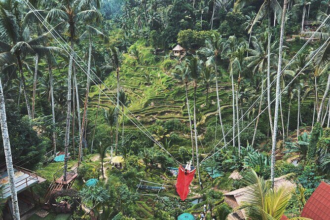 Ubud Private Tour: Waterfall, Monkey Forest, Rice Terrace, Temple - Good To Know