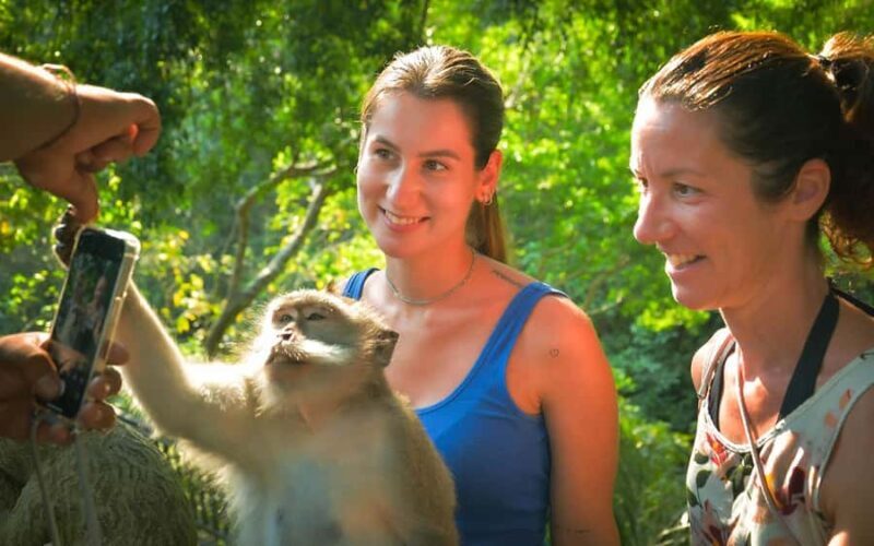 Ubud: Private Tour Waterfall, Rice Terraces & Monkey Forest - Good To Know