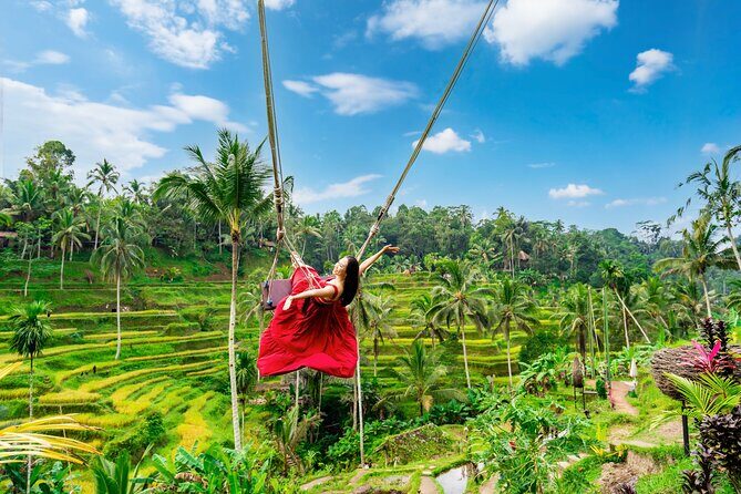 Ubud Private Tour: Waterfalls, Temple and Rice Terraces Swing - Good To Know