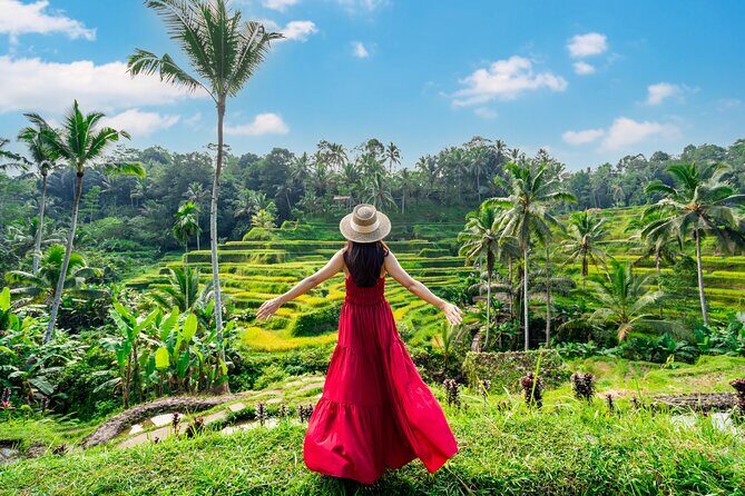 Ubud Private Tour: Waterfalls, Temple and Rice Terraces Swing - What’s Included?