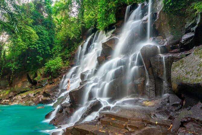 Ubud Private Tour: Waterfalls, Temple and Rice Terraces Swing - Who Should Consider This Tour?
