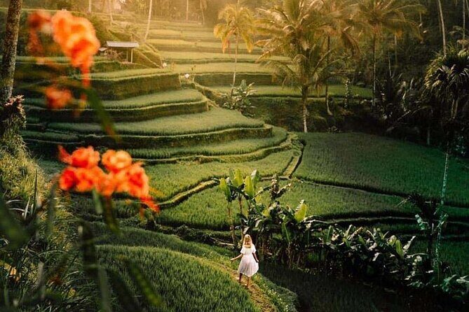 Ubud Private Tour - Waterfalls, Water Temple & Rice Terraces - FAQs