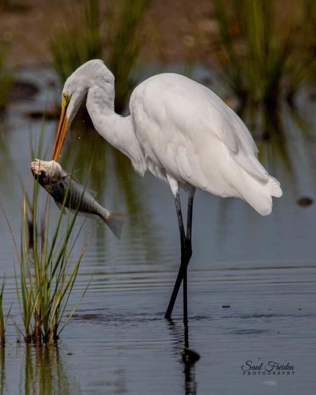 Ubud: Private Tour with Gunung Kawi Temple & Waterfall - Good To Know