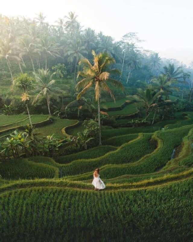 Ubud: Private Tour with Gunung Kawi Temple & Waterfall - FAQs