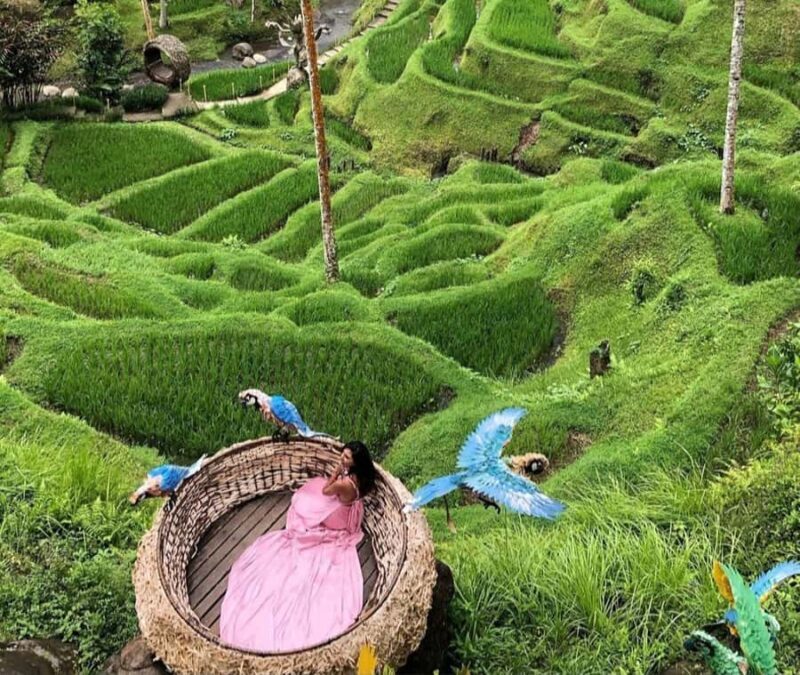 ubud : private tour,atv,rice terrace,waterfalls - Discovering the Ubud Private Tour: An Adventure Filled with Nature and Fun