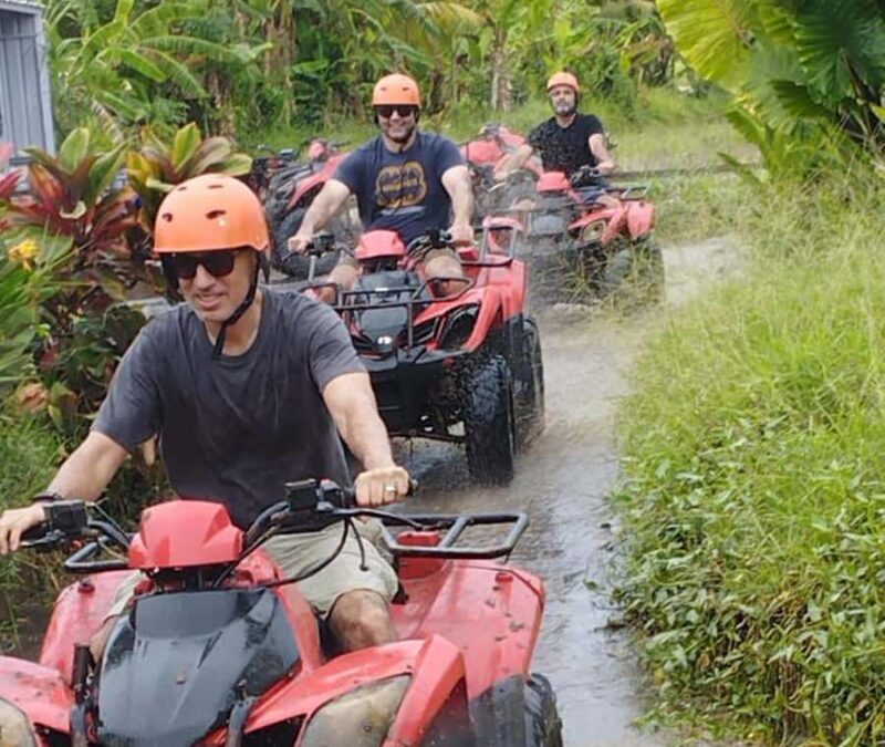 ubud : private tour,atv,rice terrace,waterfalls - Good To Know