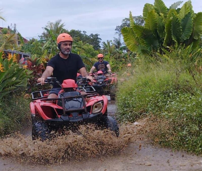ubud : private tour,atv,rice terrace,waterfalls - Authentic Experiences and Reviews