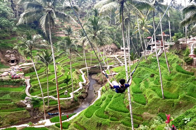Ubud Private Transport-Only Tour With Stop at Rice Field Swing - Tour Overview and Itinerary