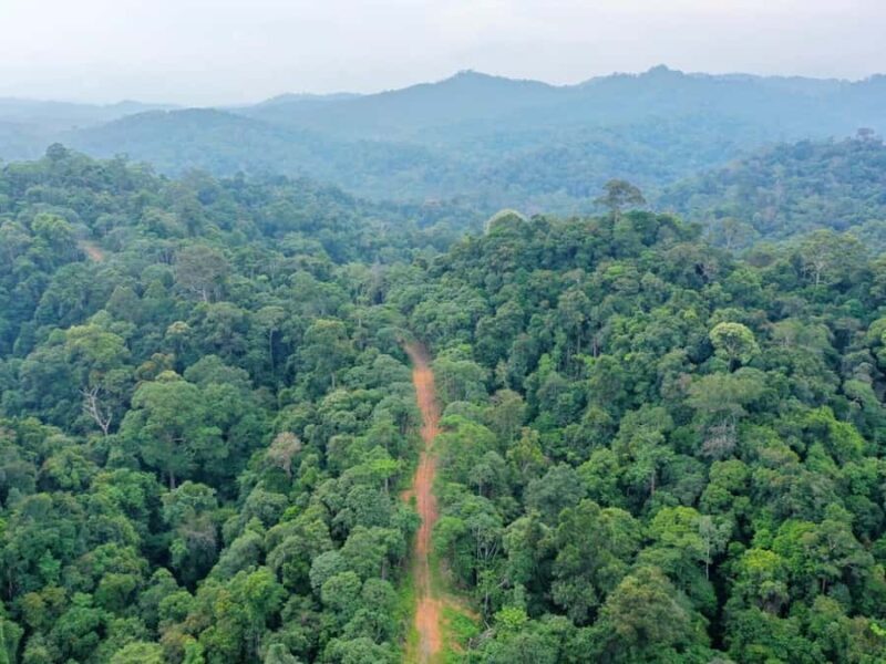 Ubud: Real Hidden Jungle ATV Quad Bike Tour - Exploring the Hidden Forest on ATV: What You Can Expect