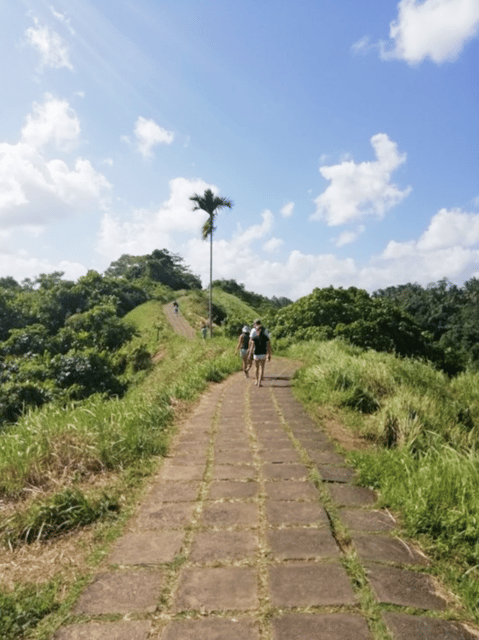 Ubud Relaxation Tour - Itinerary Highlights