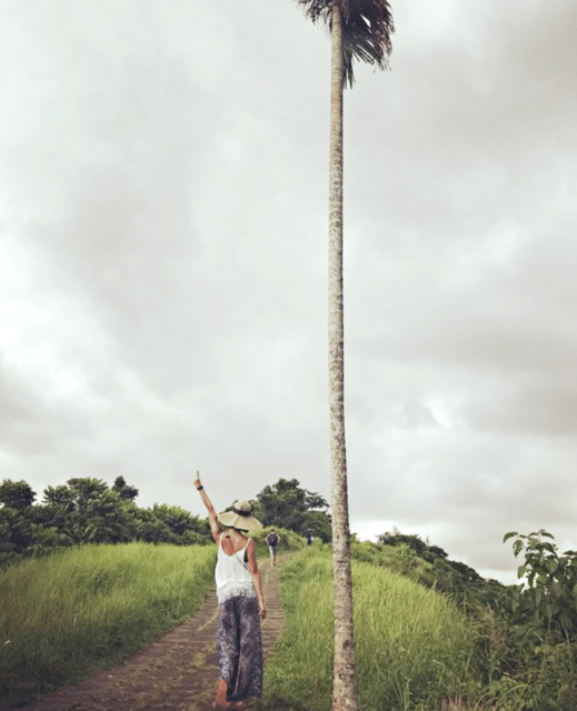 Ubud Relaxation Tour - Experience the Ubud Culture