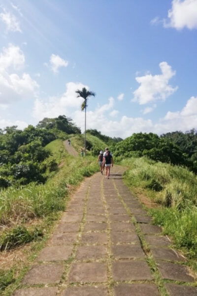 Ubud Relaxation Tour - Additional Tips for Visitors
