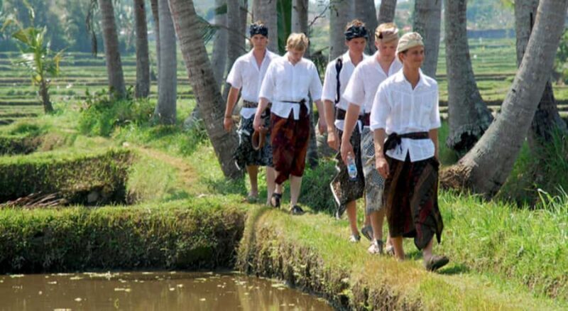 Ubud: Rice Field Trekking Tour with Guide and Drink - Exploring the Ubud Rice Field Trekking Tour in Detail