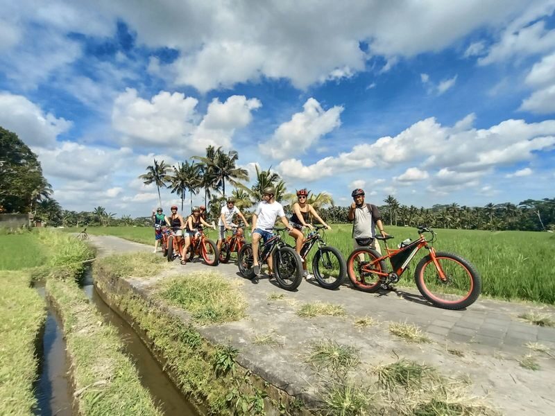Ubud Rice Fields & Tegallalang E-Bike Discovery - At a glance