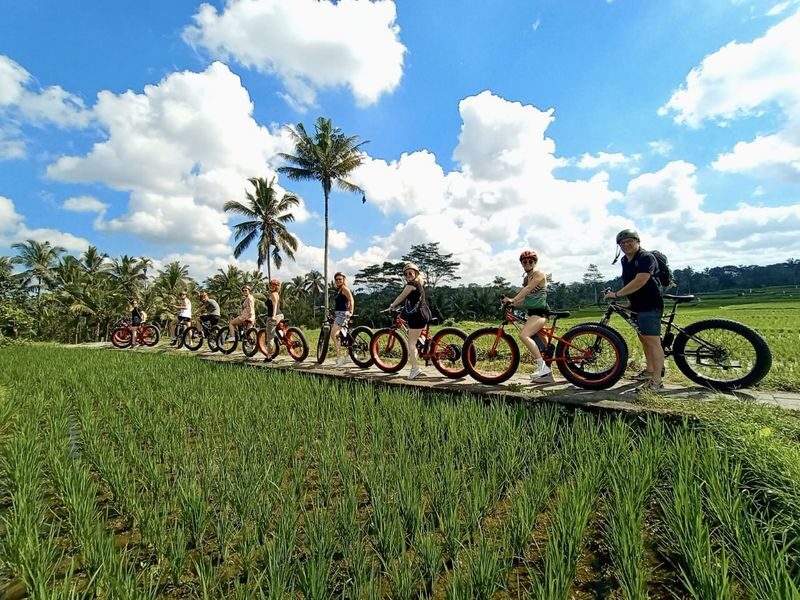 Ubud Rice Fields & Tegallalang E-Bike Discovery - Why the e-bike changes the ride