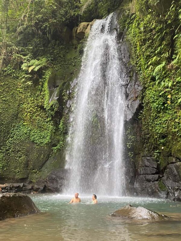 Ubud: Rice Terrace, Monkey Forest, Temple, & Waterfall - Good To Know