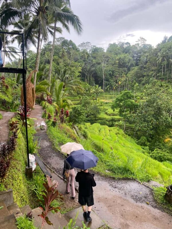 Ubud: Rice Terrace, Monkey Forest, Temple, & Waterfall - Good To Know