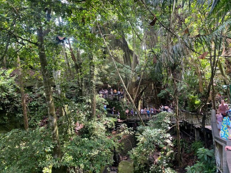 Ubud: Rice Terrace, Monkey Forest, Temple, & Waterfall - Practical Tips for Your Day Out