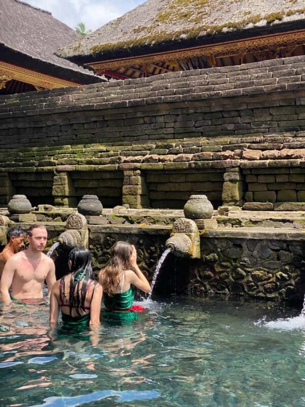 Ubud: Rice Terrace, Monkey Forest, Temple, & Waterfall - Who Is This Tour Best For?