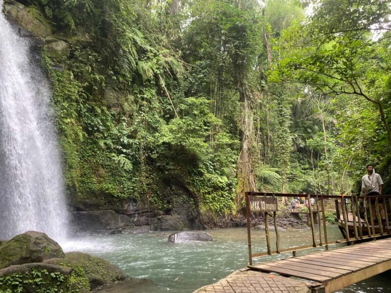 Ubud: Rice Terrace, Monkey Forest, Temple, & Waterfall - FAQ